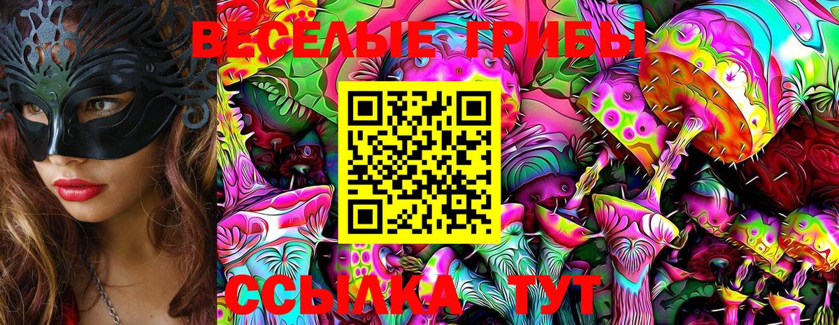 Псилоцибиновые грибы прущие грибы Жигулёвск