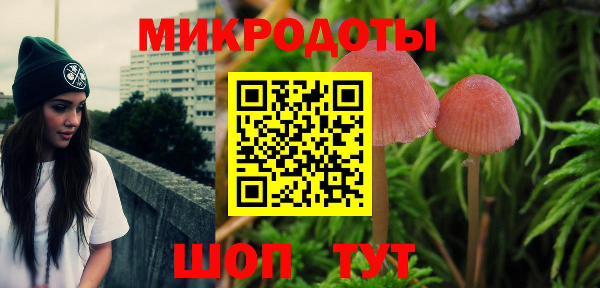 Галлюциногенные грибы GOLDEN TEACHER  Вход с VPN  Галлюциногенные грибы мухоморы  Жигулёвск 